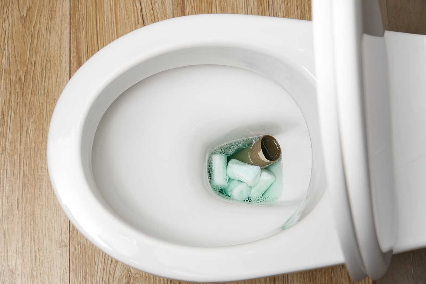 What Causes a Clogged Toilet